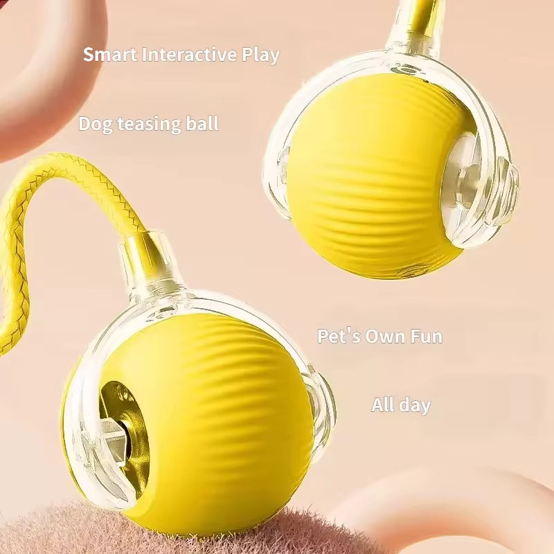 Interactive USB‑Rechargeable Bouncing Ball Toy for Dogs
