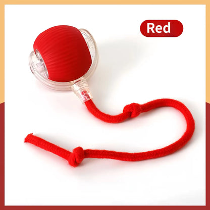 Interactive USB‑Rechargeable Bouncing Ball Toy for Dogs