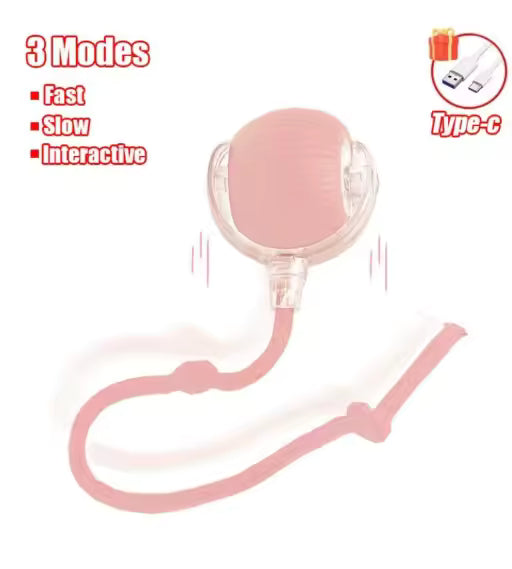 Interactive USB‑Rechargeable Bouncing Ball Toy for Dogs