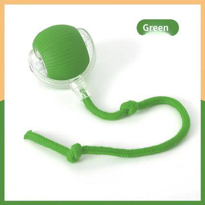 Interactive USB‑Rechargeable Bouncing Ball Toy for Dogs