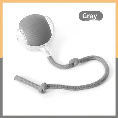 Interactive USB‑Rechargeable Bouncing Ball Toy for Dogs