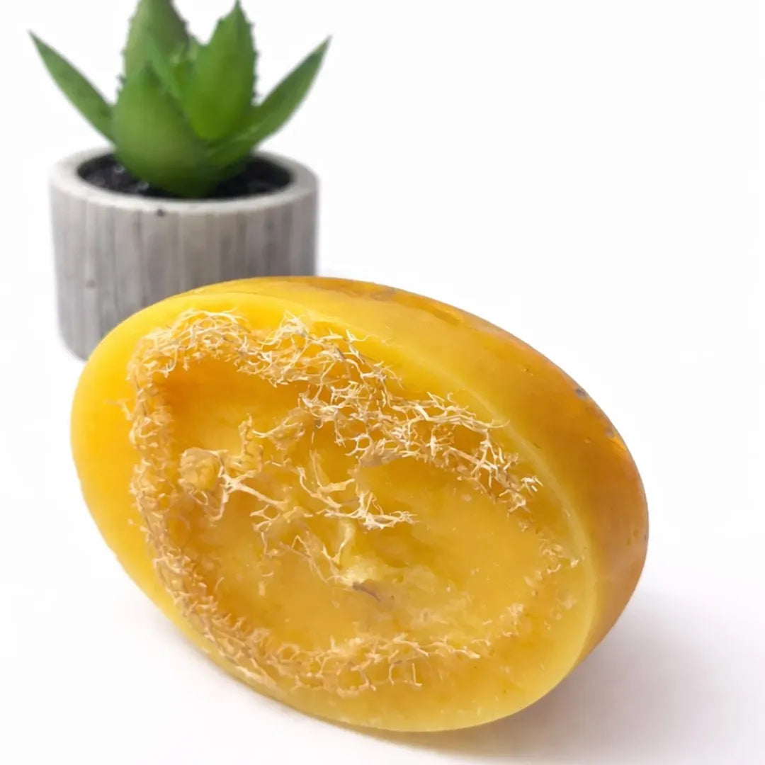 Mango Loffah Soap