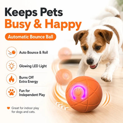 Interactive USB‑Rechargeable Bouncing Ball Toy for Dogs